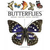 Butterflies: Beautiful Flying Insects - Paperback