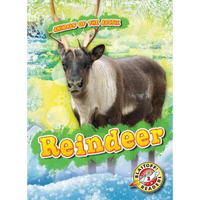 Reindeer - Library Binding