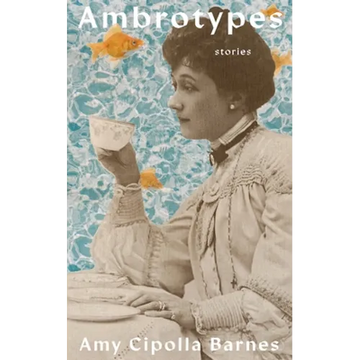 Ambrotypes - Paperback