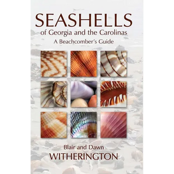 Seashells of Georgia and the Carolinas: A Beachcomber's Guide - Paperback
