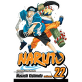 Naruto, Vol. 22: Comrades