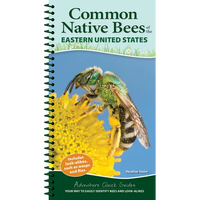 Common Native Bees of the Eastern United States: Your Way to Easily Identify Bees and Look-Alikes - Spiral