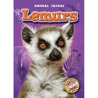 Lemurs - Paperback