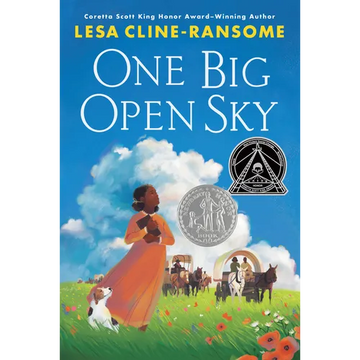 One Big Open Sky - Hardcover