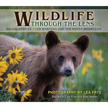 Wildlife Through the Lens: Animal Stories from Montana and the Rocky Mountains - Paperback