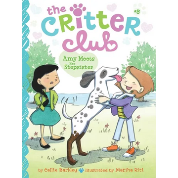 Amy Meets Her Stepsister - Paperback