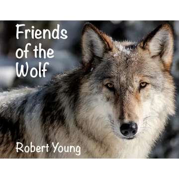 Friends of the Wolf - Paperback