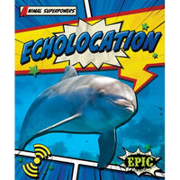 Echolocation - Paperback