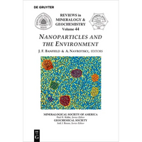 Nanoparticles and the Environment - Paperback