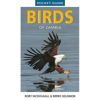 Pocket Guide Birds of Zambia - Paperback