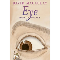 Eye: How It Works - Paperback