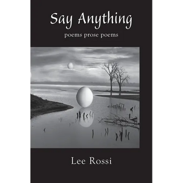 Say Anything - Paperback