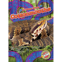 Cottonmouths - Library Binding