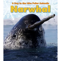Narwhal - Paperback