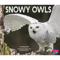 Snowy Owls - Paperback