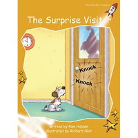 The Surprise Visitor - Paperback