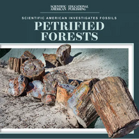 Petrified Forests - Paperback