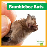 Bumblebee Bats - Library Binding