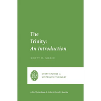 The Trinity: An Introduction - Paperback