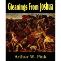 Gleanings from Joshua
