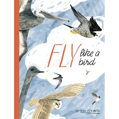 Fly Like a Bird