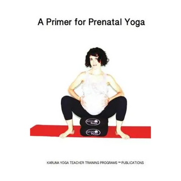 A Primer for Prenatal Yoga: Adaptations and Modifications for Teaching Yoga To Pregnant Students - Paperback