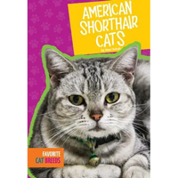 American Shorthair Cats - Library Binding