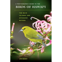 A Photographic Guide to the Birds of Hawai'i: The Main Islands and Offshore Waters - Paperback