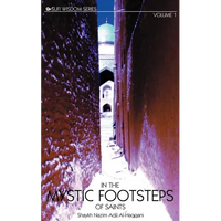 In the Mystic Footsteps of Saints Vol. 1 - Paperback