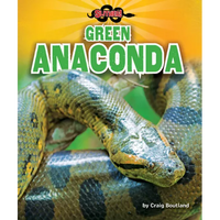 Green Anaconda - Library Binding