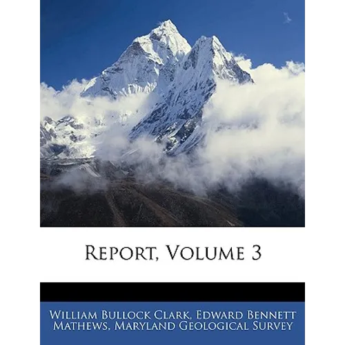 Report, Volume 3