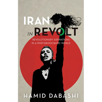 Iran in Revolt: Revolutionary Aspirations in a Post-Democratic World - Paperback