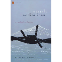 Earthly Meditations: New and Selected Poems - Paperback