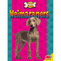 Weimaraners - Paperback