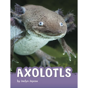 Axolotls - Paperback