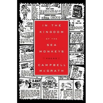 In the Kingdom of the Sea Monkeys - Paperback
