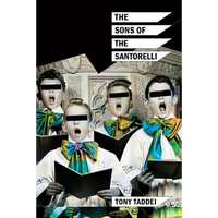 The Sons of the Santorelli - Paperback