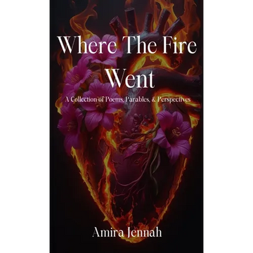 Where The Fire Went - Paperback