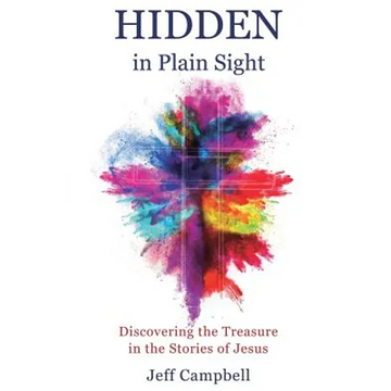 Hidden in Plain Sight - Paperback