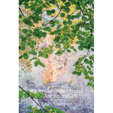 When No Other Notes Are Found - Paperback