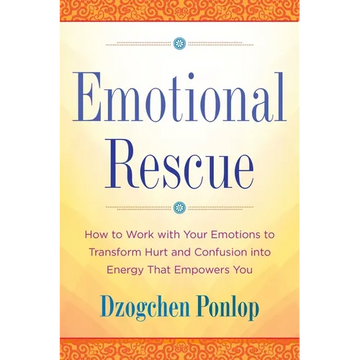 Emotional Rescue: How to Work with Your Emotions to Transform Hurt and Confusion into Energy That Empowers You - Paperback