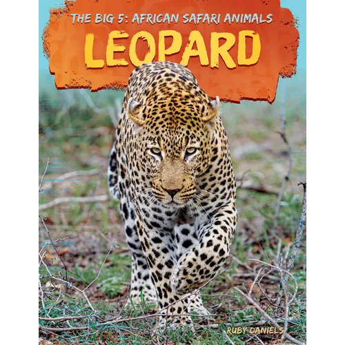 Leopard
