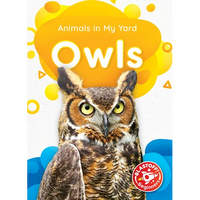 Owls - Library Binding