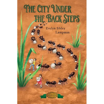 The City Under the Back Steps - Paperback