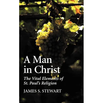 A Man in Christ - Paperback