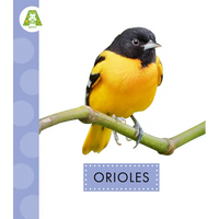 Orioles - Paperback