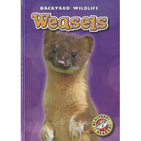 Weasels - Library Binding