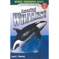 Amazing Whales! - Paperback