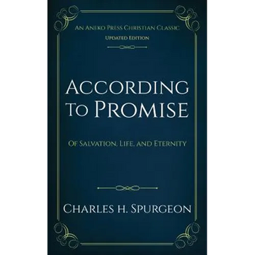 According to Promise: Of Salvation, Life, and Eternity - Paperback