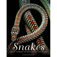 Snakes: From Vipers to Boa Constrictors - Hardcover